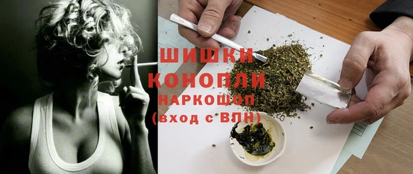 соль ск Няндома