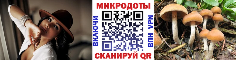 как найти наркотики  Советский  Галлюциногенные грибы ЛСД 
