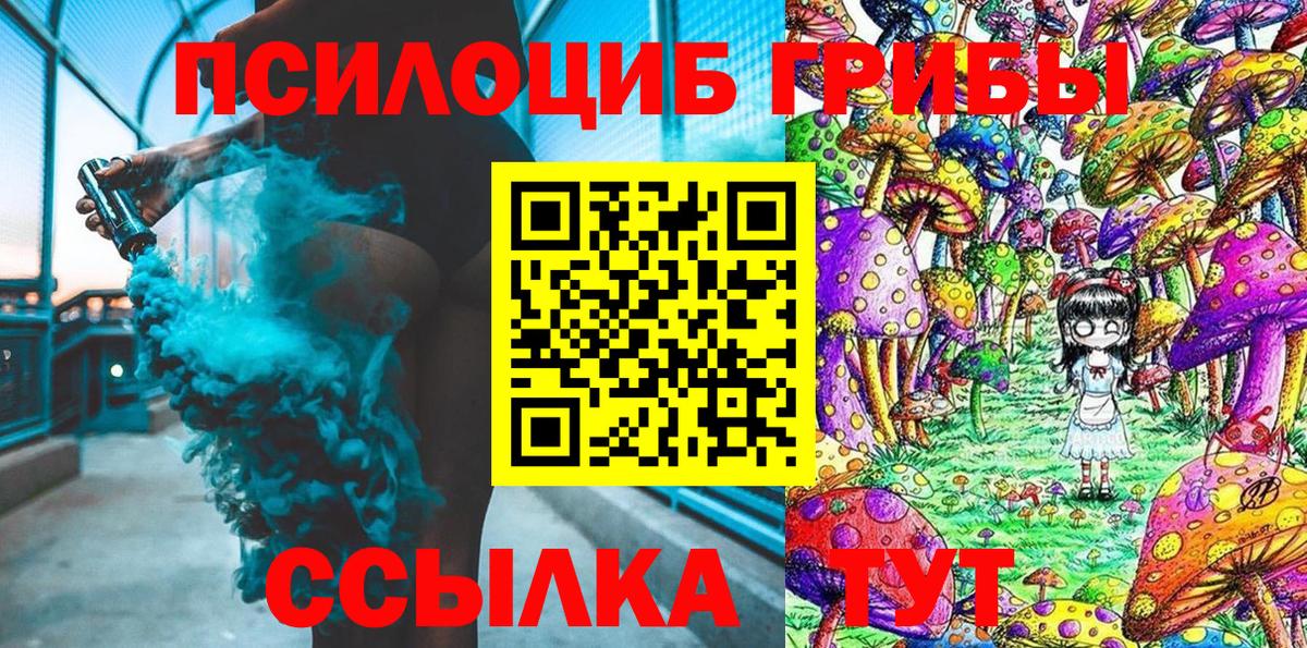 Псилоцибиновые грибы прущие грибы  Псилоцибиновые грибы Psilocybine cubensis  Советский  Вход с VPN 